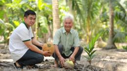 Xây dựng vùng sản xuất tập trung, phát triển chuỗi giá trị