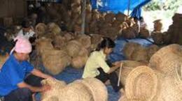 Hợp tác xã xuất khẩu trao quyền cho các cộng đồng nông thôn 