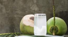 Tiềm năng thị trường Châu Âu cho dừa tươi