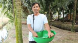 Cựu chiến binh Ba Xuân trồng dừa xiêm xanh làm giàu