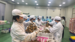 Giải pháp đẩy mạnh xuất khẩu nông sản Việt Nam nói chung và tỉnh Bến Tre nói riêng sang các nước EU khi Hiệp định EVFTA được ký kết