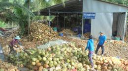 Hợp tác xã Nông nghiệp Thới Thạnh
