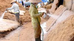 Bến Tre - Phát triển sản xuất giá thể và phân bón hữu cơ sinh học từ mụn xơ dừa