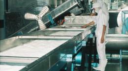 Quy hoạch phát triển công nghiệp tỉnh Bến Tre đến năm 2020
