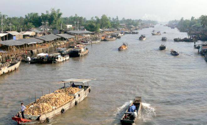  "Chợ Dừa" Sông Thom "Chợ Dừa" Sông Thom